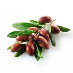 Olive: Panemboriki